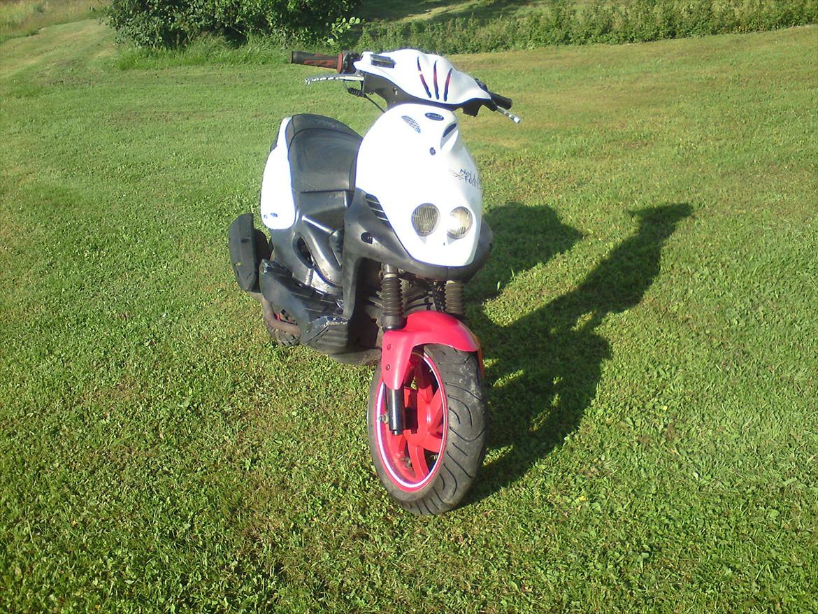 PGO pmx no fear billede 2