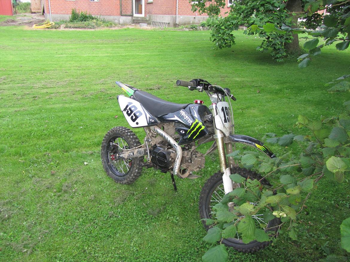 Pitpro Monster Energy Edition 2010 - Juli 2011 billede 4