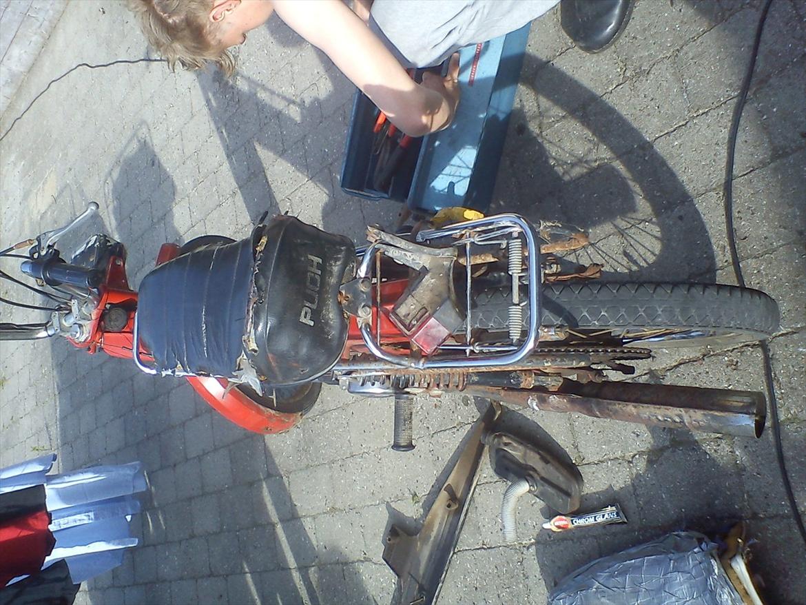 Puch Maxi KL billede 3