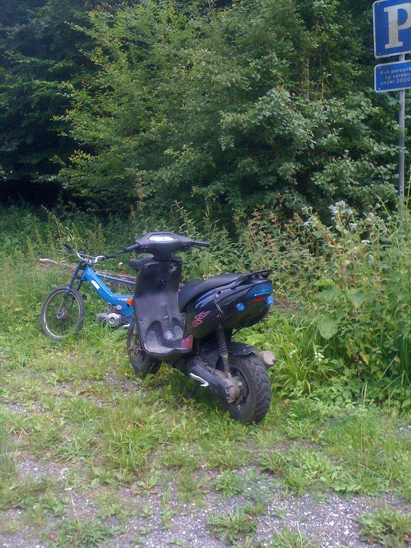 Aprilia rally billede 6