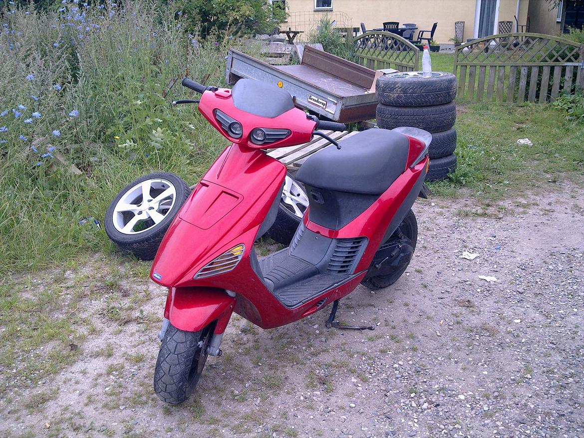 Atala hacker (solgt) billede 1