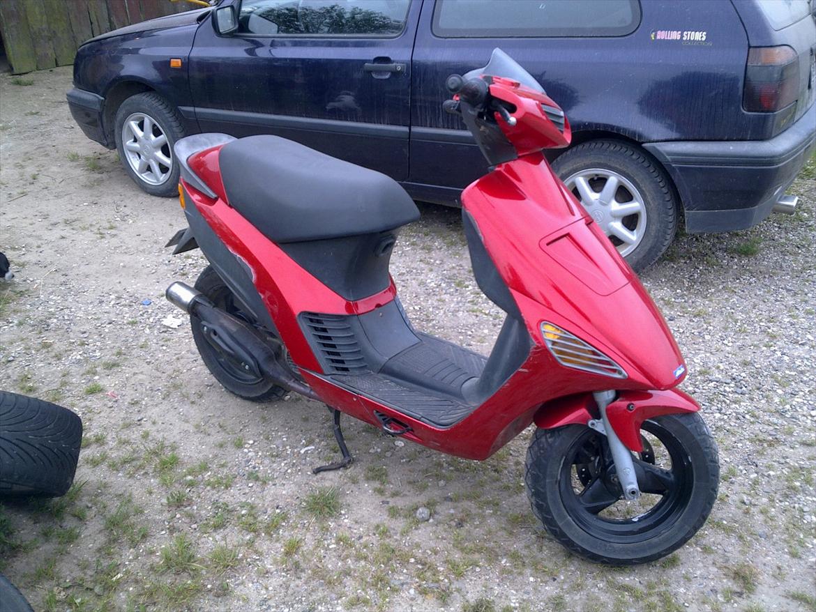 Atala hacker (solgt) billede 2