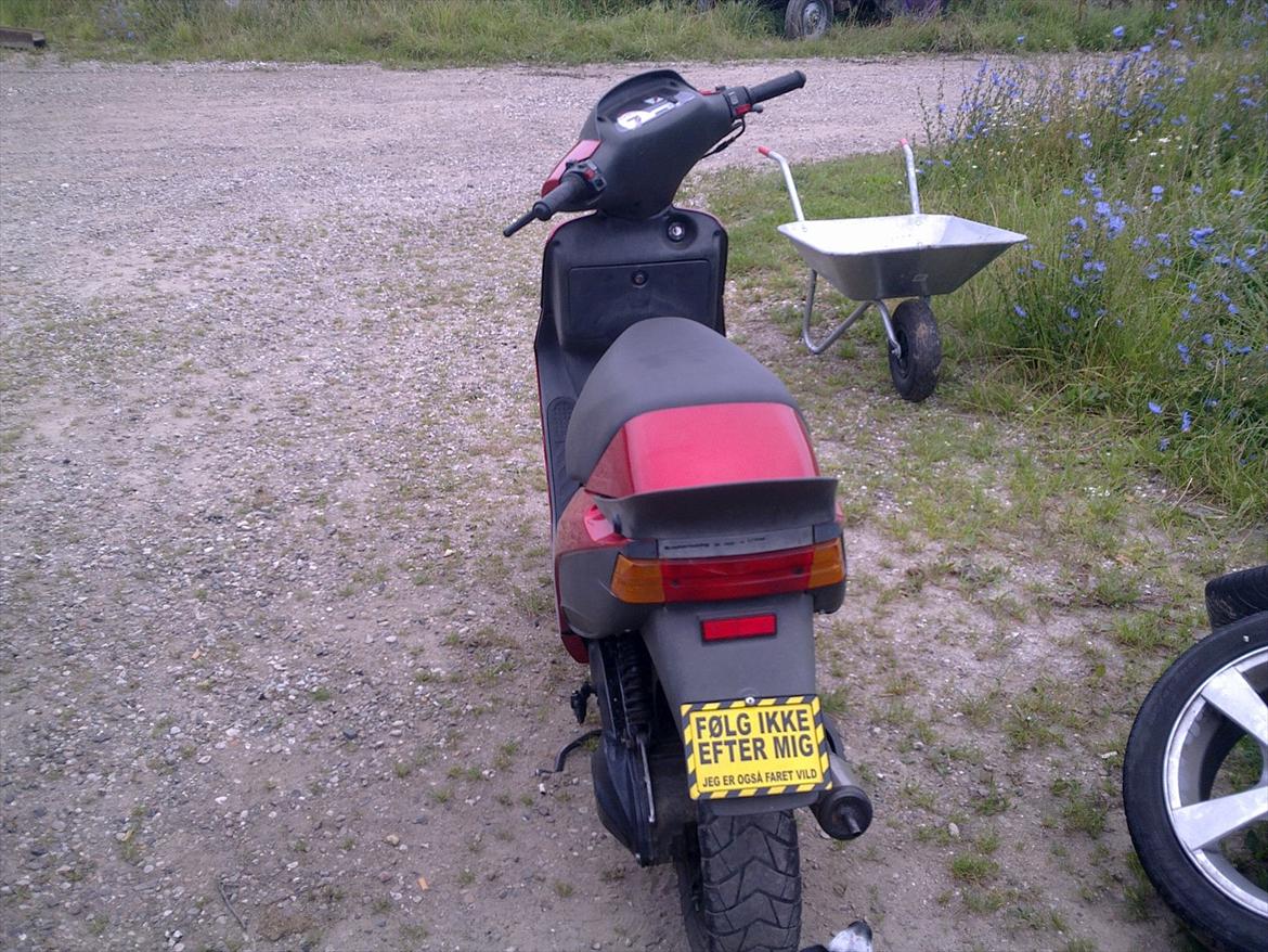 Atala hacker (solgt) billede 3