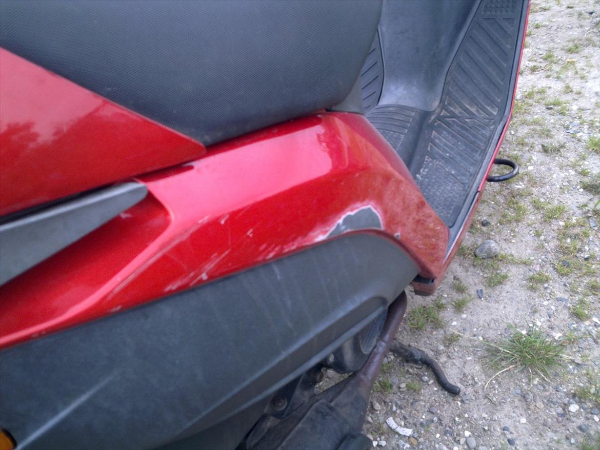 Atala hacker (solgt) billede 4