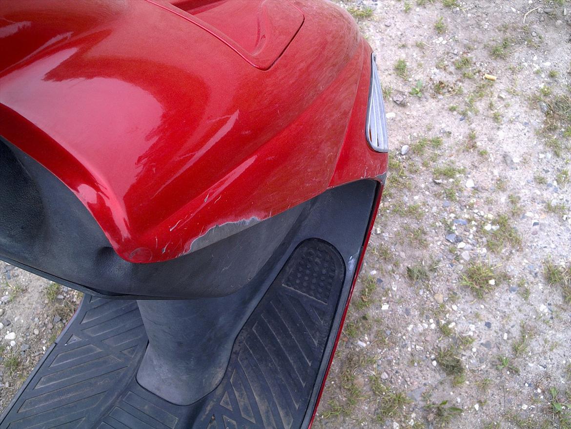 Atala hacker (solgt) billede 5