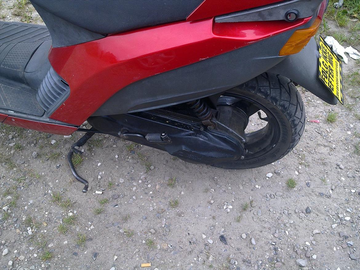 Atala hacker (solgt) billede 6