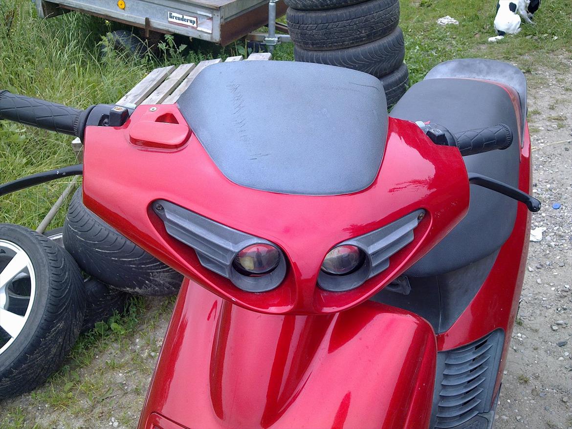 Atala hacker (solgt) billede 7