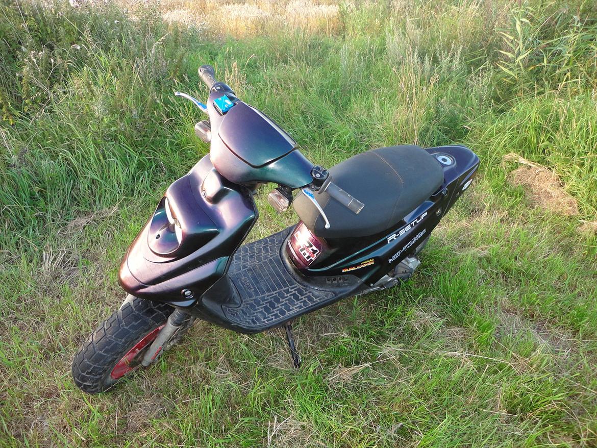 PGO Skrot 50 billede 9