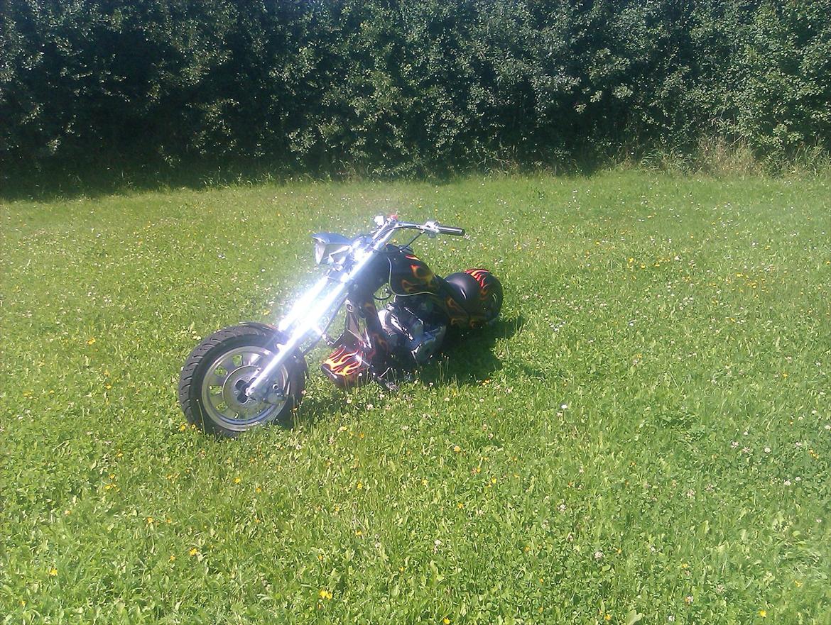 MiniBike harley billede 6