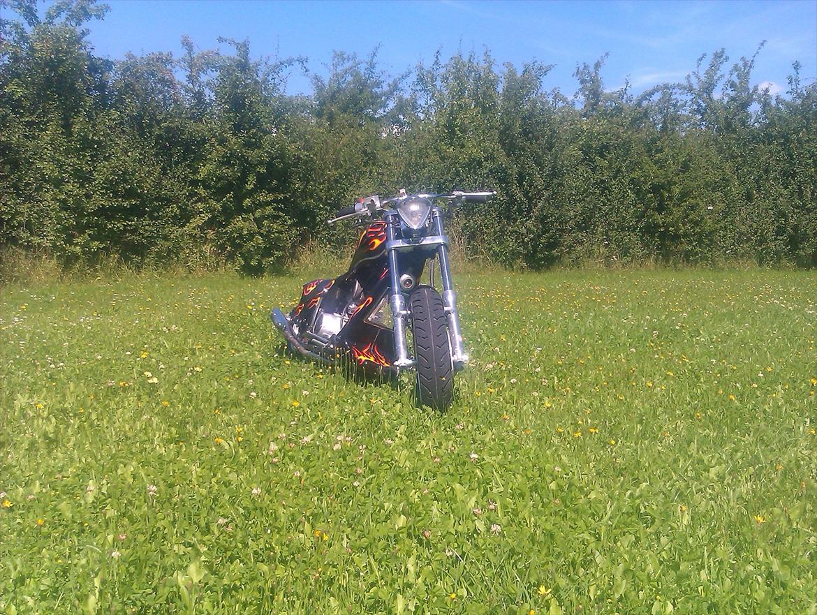 MiniBike harley billede 7