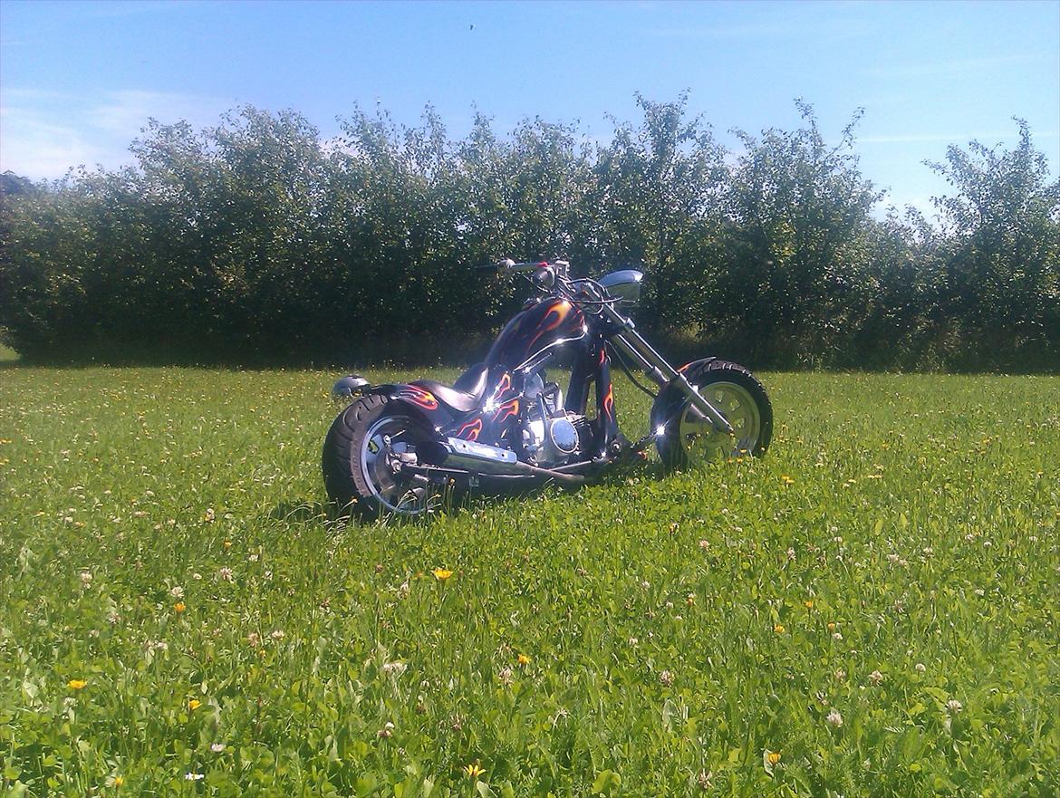 MiniBike harley billede 9