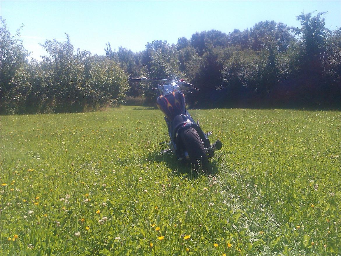 MiniBike harley billede 10