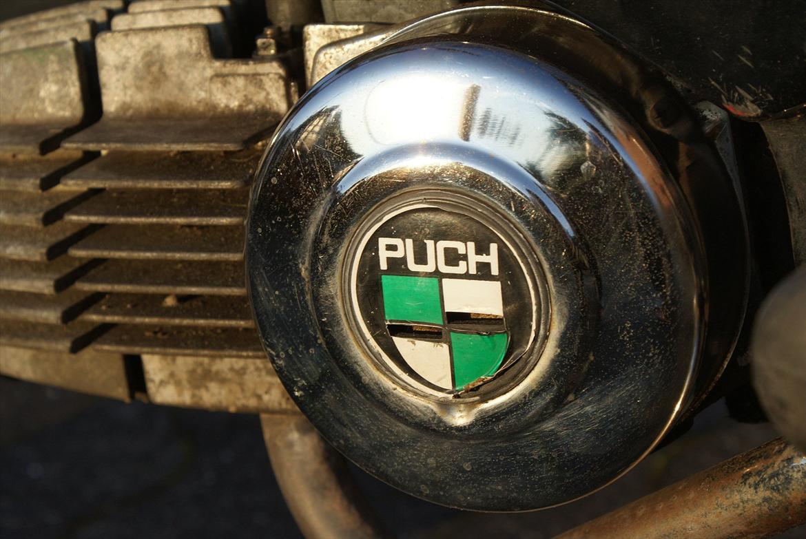 Puch maxi P1L billede 5