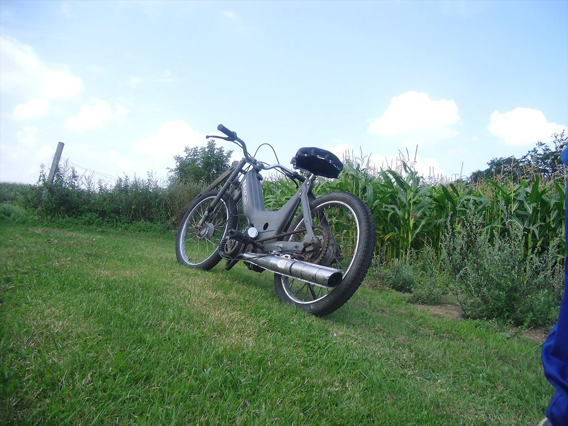 Puch maxi solgt !  billede 5