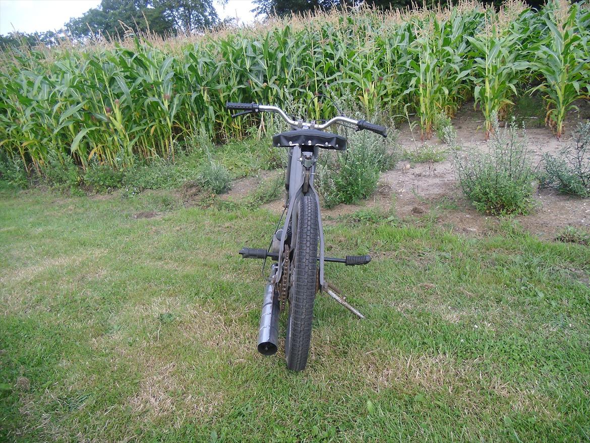 Puch maxi solgt !  billede 6