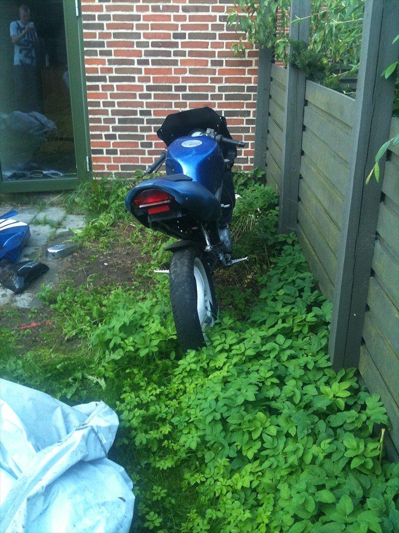 Aprilia RS50 billede 7