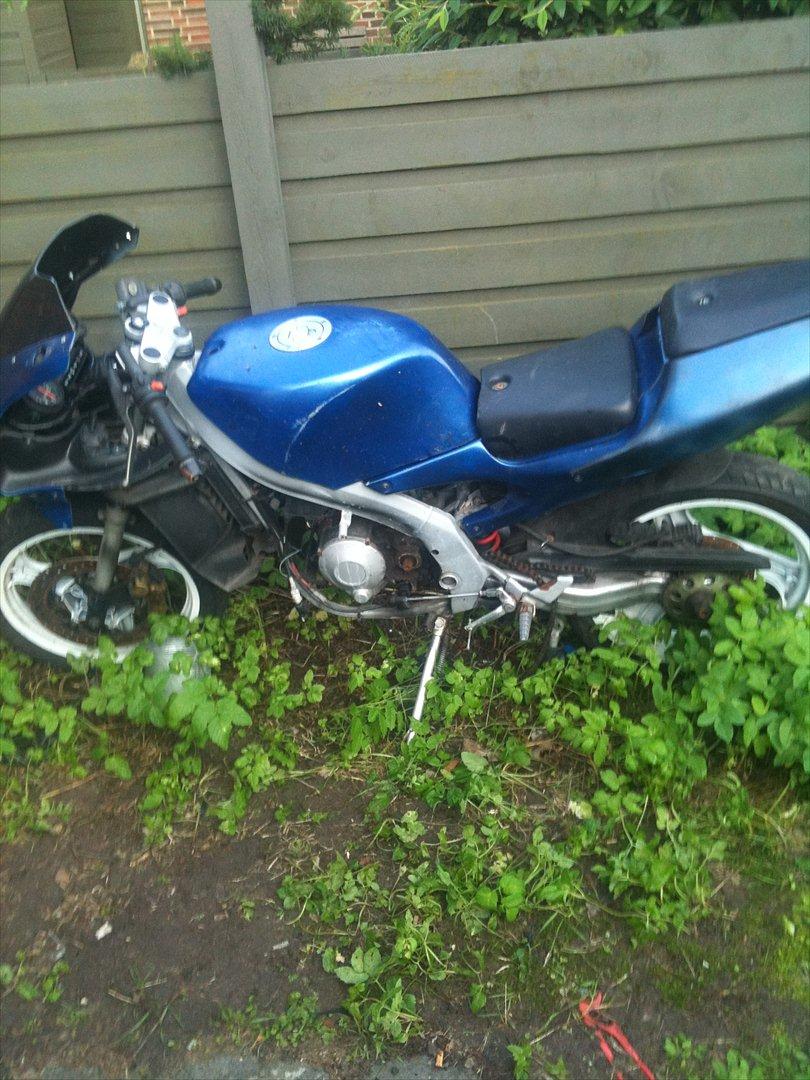 Aprilia RS50 billede 10