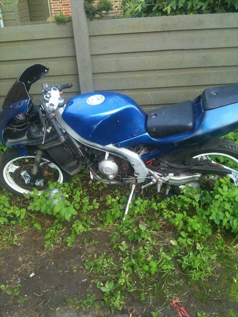 Aprilia RS50 billede 11
