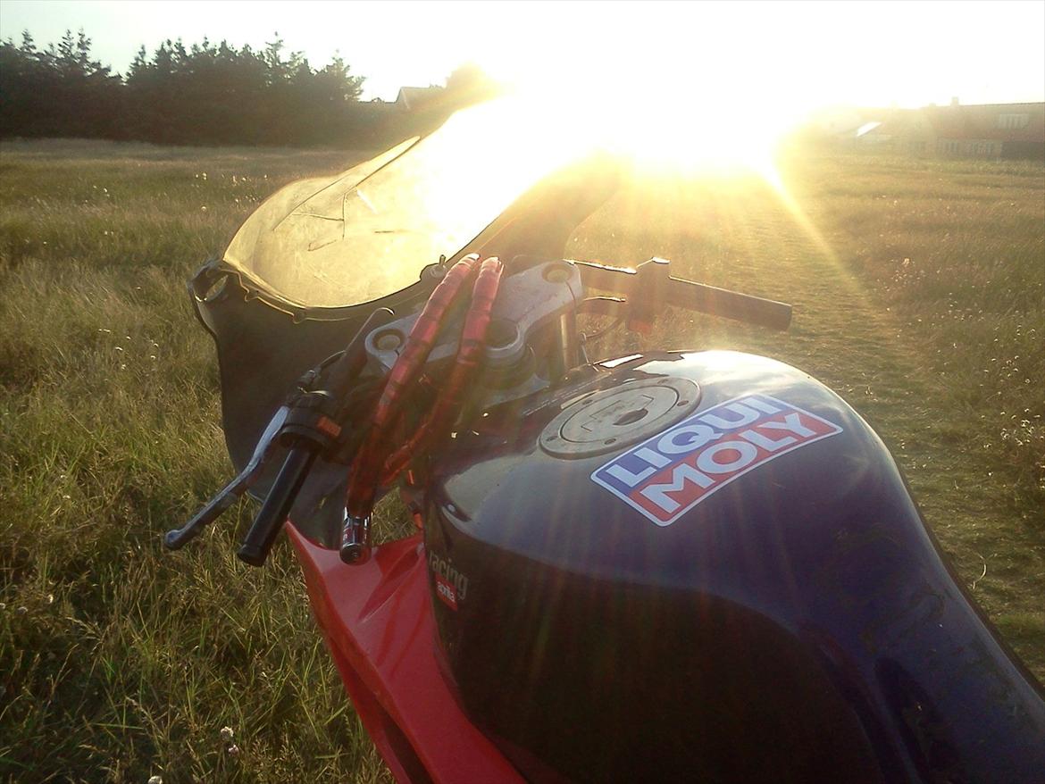 Aprilia Rs50 73,5ccm billede 6