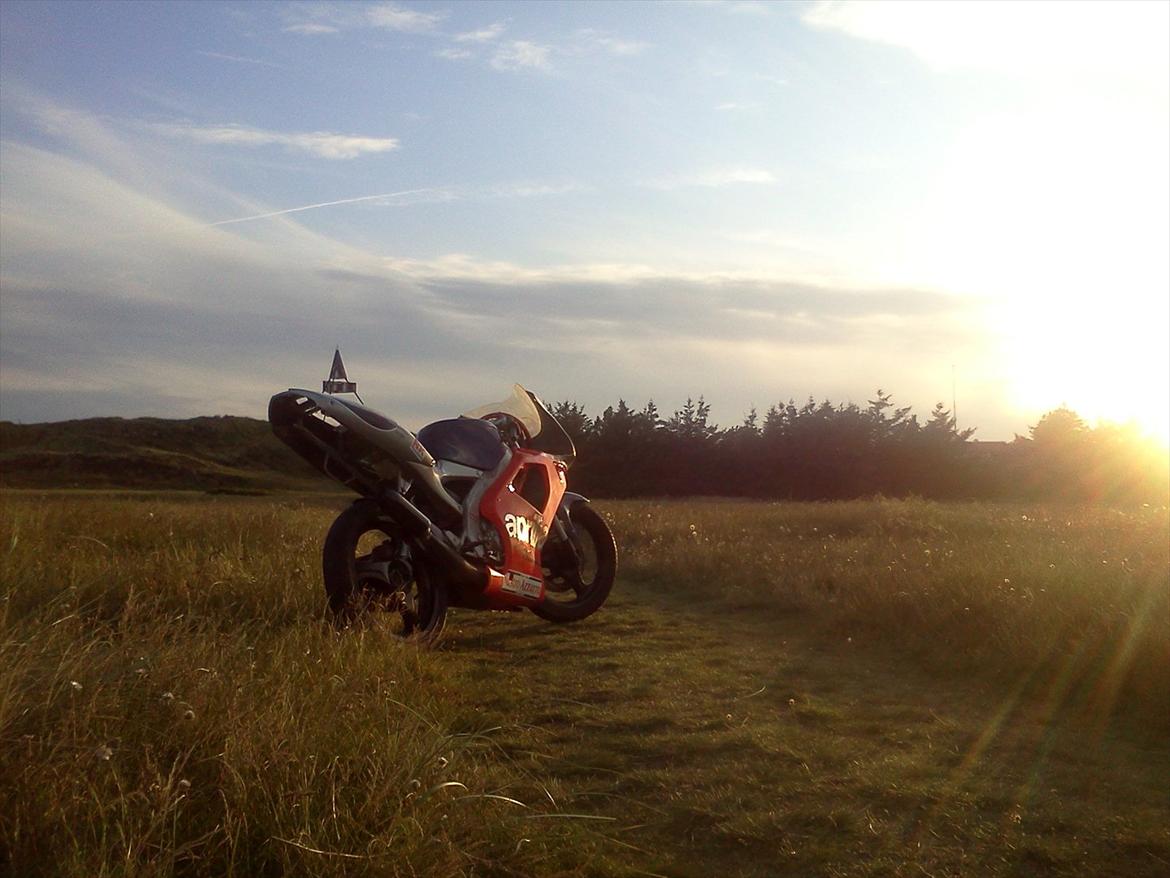 Aprilia Rs50 73,5ccm billede 9