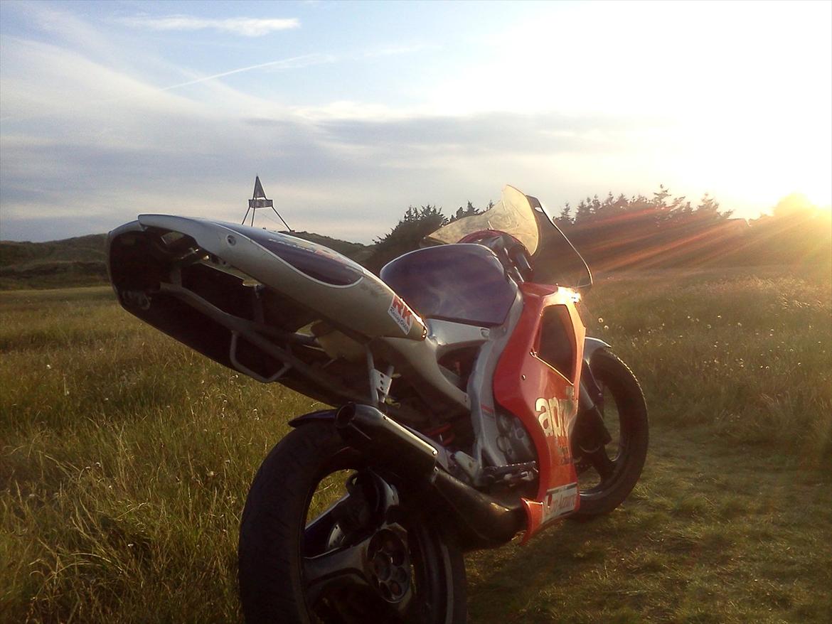 Aprilia Rs50 73,5ccm billede 10