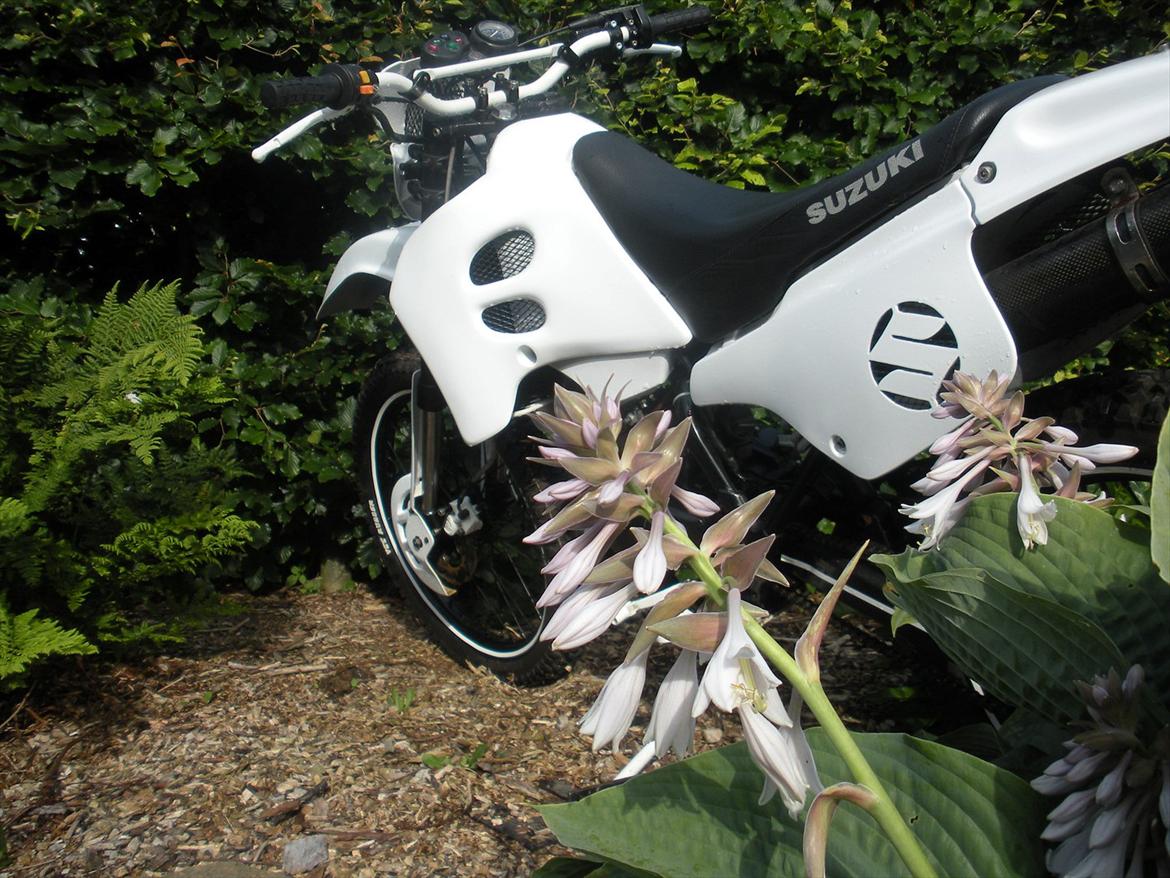 Suzuki Rmx - Til salg ! billede 2