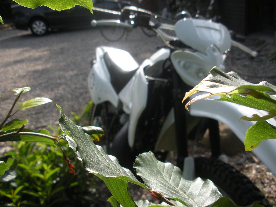 Suzuki Rmx - Til salg ! billede 4