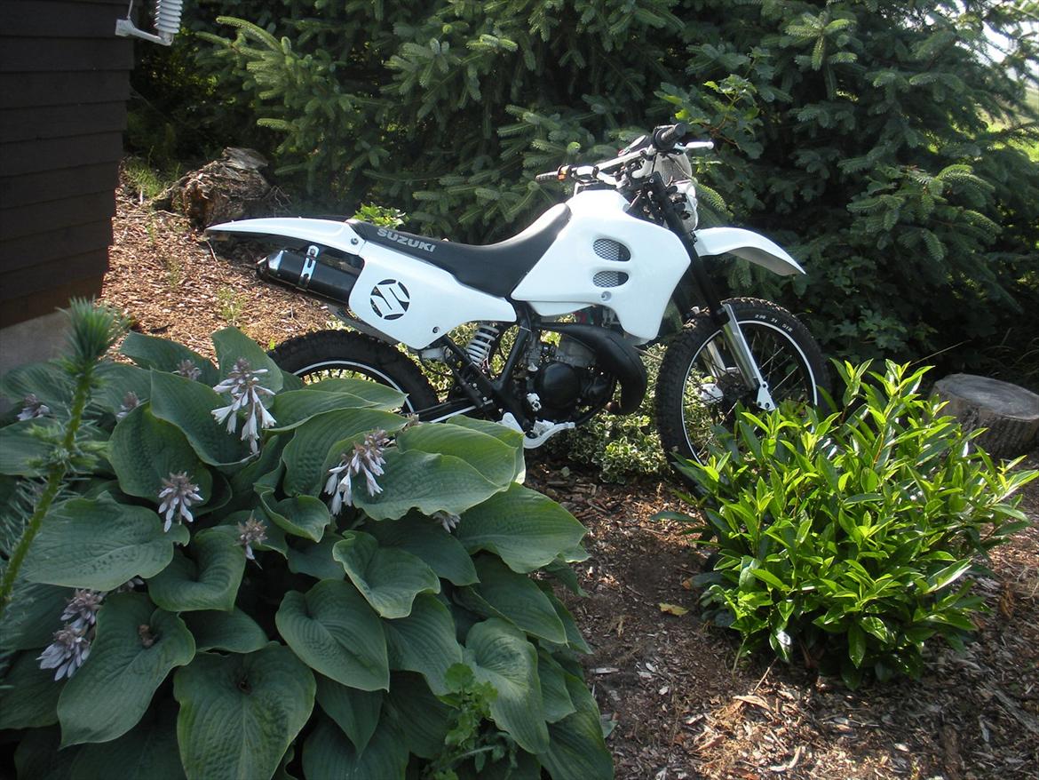 Suzuki Rmx - Til salg ! billede 8