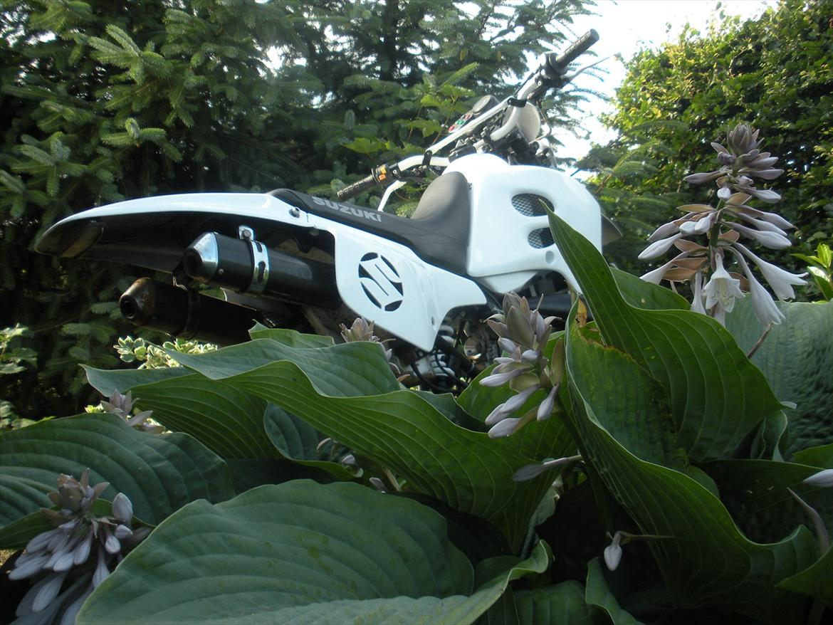 Suzuki Rmx - Til salg ! billede 9