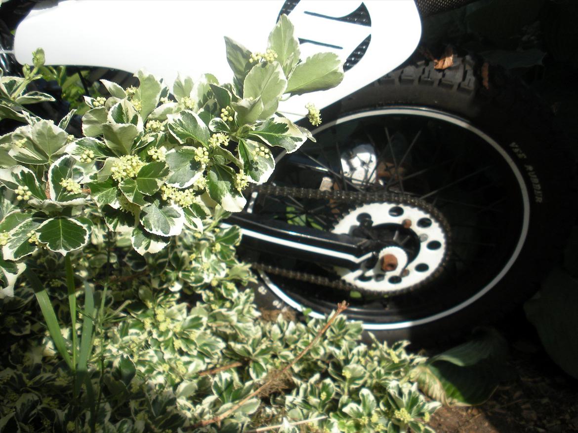 Suzuki Rmx - Til salg ! billede 13