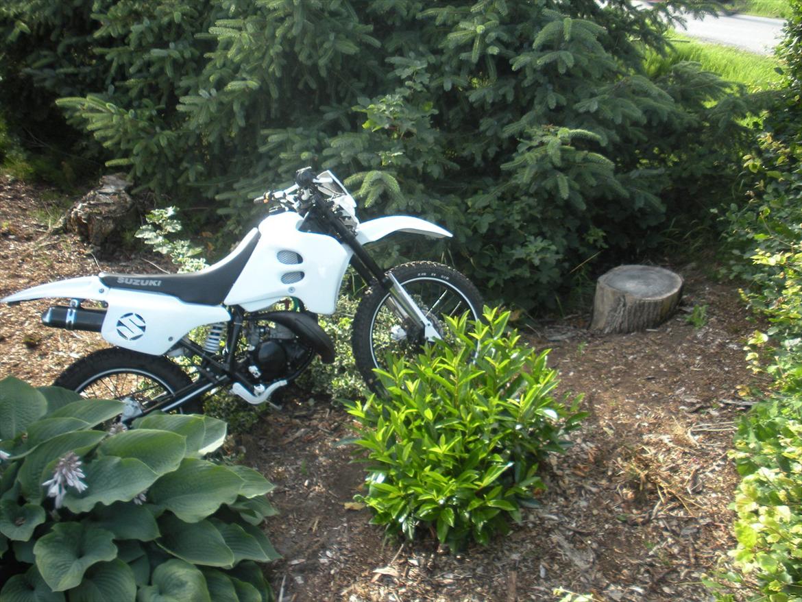 Suzuki Rmx - Til salg ! billede 15