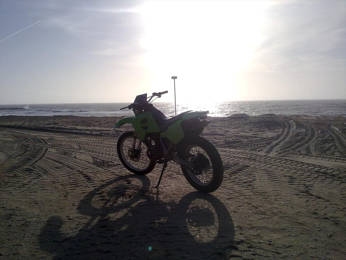 Suzuki RMX "byd" billede 17