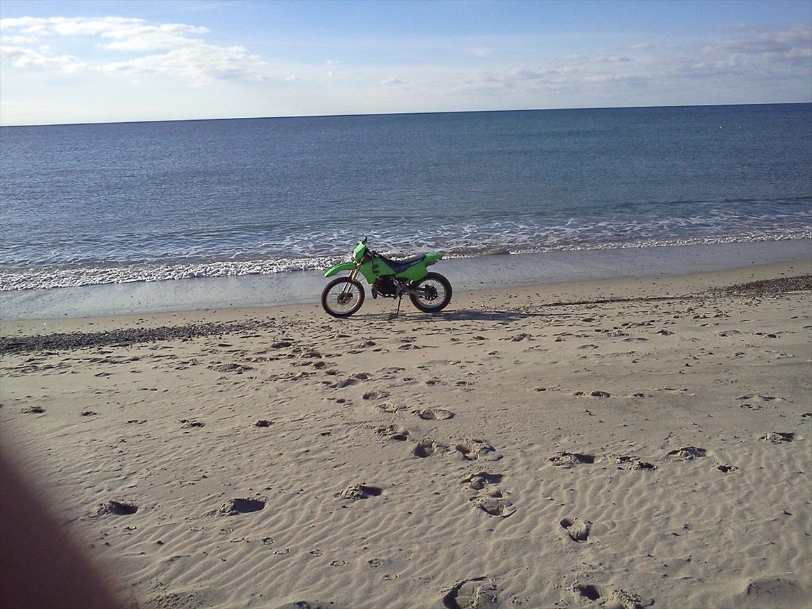 Suzuki RMX "byd" billede 19