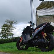 PGO Hot 50 Lowrider.