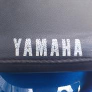 Yamaha Axis