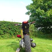 Suzuki Street Magic <Solgt>