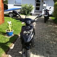 PGO big max "MARIANNE"
