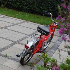 Puch maxi