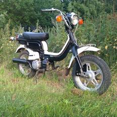 Suzuki fz50
