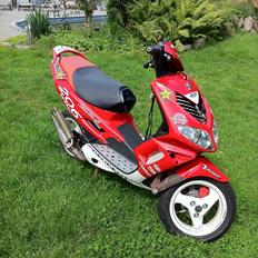 Peugeot Speedfight 2 Wrc 206. 70cc. AC [Byttet]