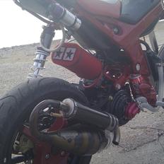 Suzuki Street magic (Street-Rox)