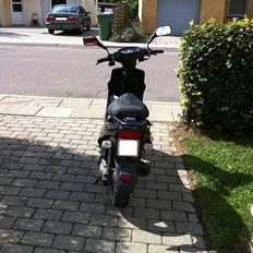PGO big max    "MARIANNE"