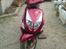 PGO trex 50 