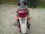 PGO trex 50 