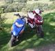 Honda sfx repsol (byttet til fz50)