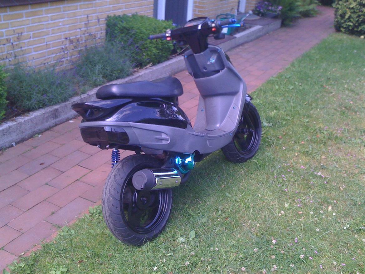 Adly Cat 50 billede 6