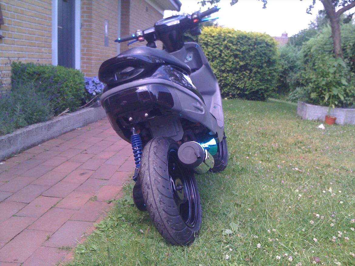 Adly Cat 50 billede 7