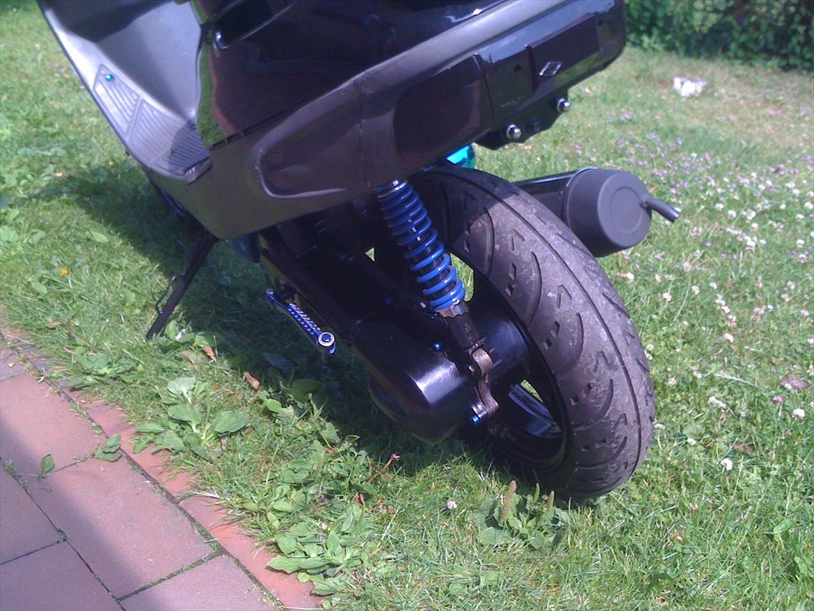 Adly Cat 50 billede 9