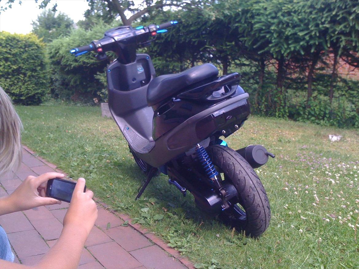 Adly Cat 50 billede 8