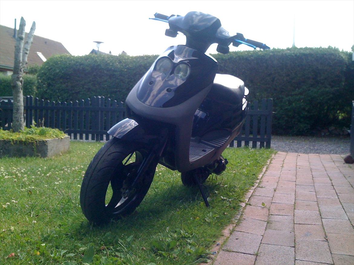 Adly Cat 50 billede 10